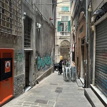 Cinque Lampadi Acquario